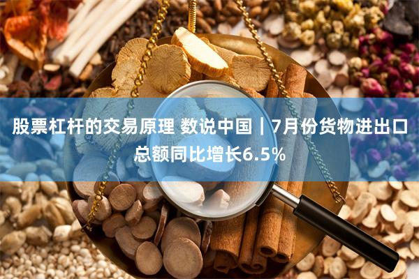 股票杠杆的交易原理 数说中国｜7月份货物进出口总额同比增长6.5%