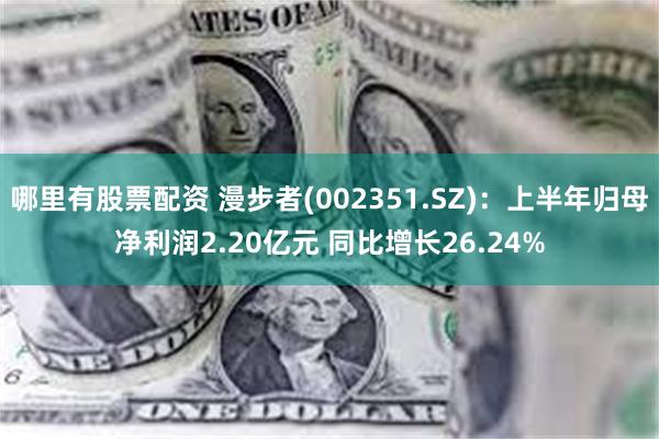 哪里有股票配资 漫步者(002351.SZ)：上半年归母净利润2.20亿元 同比增长26.24%