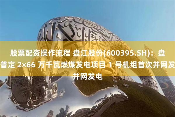 股票配资操作流程 盘江股份(600395.SH)：盘江普定 2×66 万千瓦燃煤发电项目 1 号机组首次并网发电