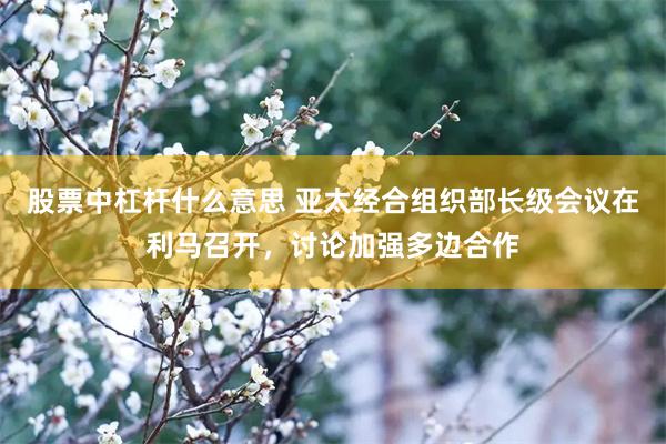 股票中杠杆什么意思 亚太经合组织部长级会议在利马召开，讨论加强多边合作