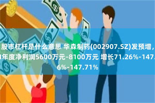 股市杠杆是什么意思 华森制药(002907.SZ)发预增，2024年度净利润5600万元–8100万元 增长71.26%-147.71%